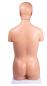 Preview: Erler Zimmer - Torso, geschlechtslos, 12 Teile
