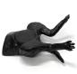 Preview: Erler Zimmer - Ultraschalltrainer Hundeblase