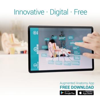 Erler Zimmer - Großes Herzmodell, 3-fache Lebensgröße, 2 Teile - EZ Augmented Anatomy