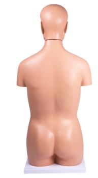Erler Zimmer - Torso, geschlechtslos, 12 Teile