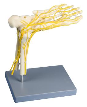 Erler Zimmer - Neuro Fuß