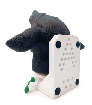 Erler Zimmer - Intubationskopf Hund