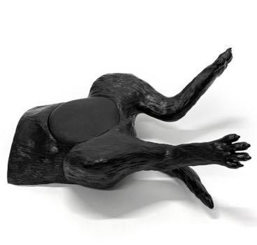 Erler Zimmer - Ultraschalltrainer Hundeblase