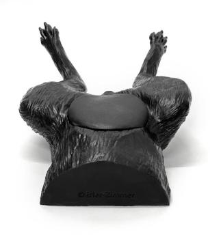Erler Zimmer - Ultraschalltrainer Hundeblase