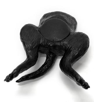 Erler Zimmer - Ultraschalltrainer Hundeblase