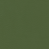 Dark Moss