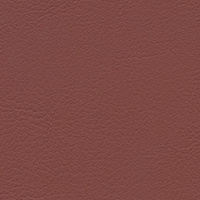 Merlot