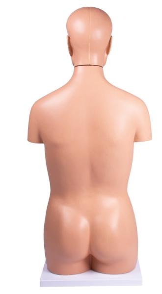Erler Zimmer - Torso, geschlechtslos, 12 Teile