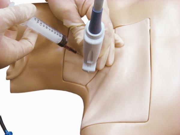 Erler Zimmer - Simulator für die zentrale Venenpunktion