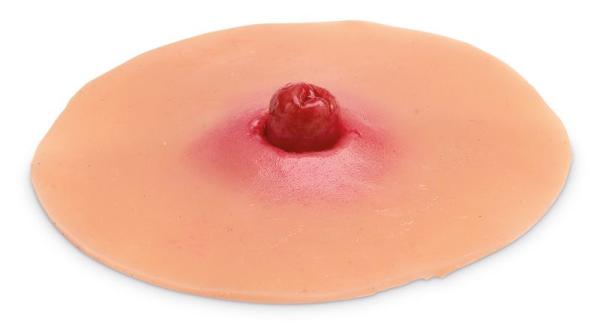 Erler Zimmer - Krankenpflege Moulagen-Kit