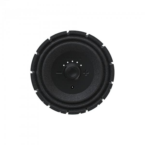 Theragun Wave Roller