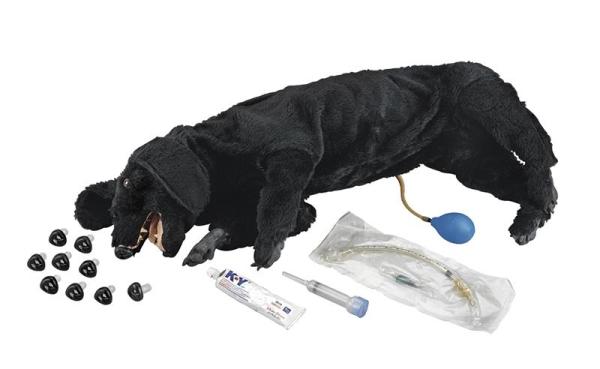 Erler Zimmer - HLW Übungshund, Basis-Ausführung