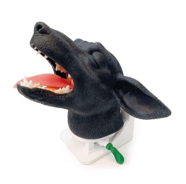 Erler Zimmer - Intubationskopf Hund