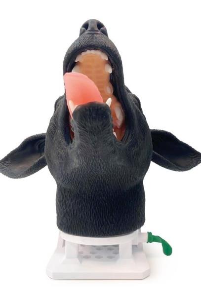 Erler Zimmer - Intubationskopf Hund