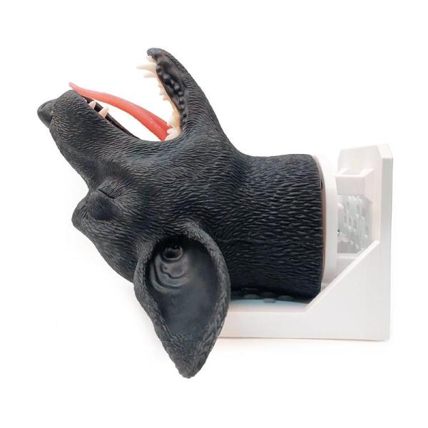 Erler Zimmer - Intubationskopf Hund