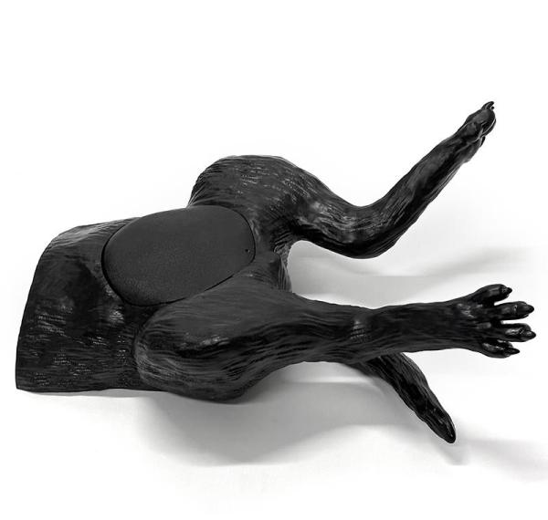 Erler Zimmer - Ultraschalltrainer Hundeblase