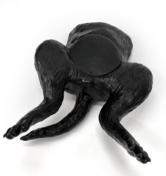 Erler Zimmer - Ultraschalltrainer Hundeblase