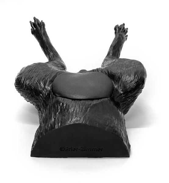 Erler Zimmer - Ultraschalltrainer Hundeblase