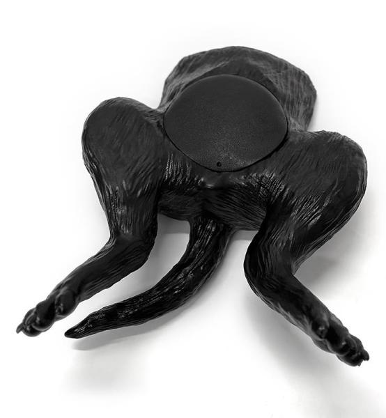 Erler Zimmer - Ultraschalltrainer Hundeblase