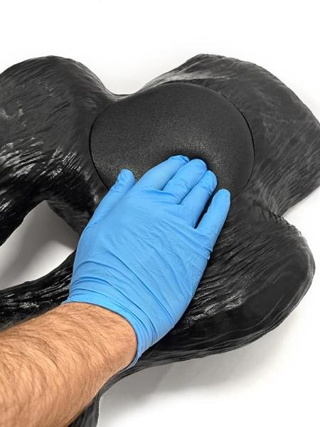 Erler Zimmer - Ultraschalltrainer Hundeblase