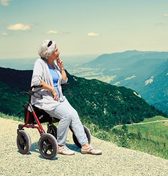 Dietz Taima XC Leichtgewichtsrollator luftbereift